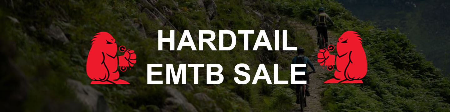 Electric Hardtail Mountain Bikes Sale